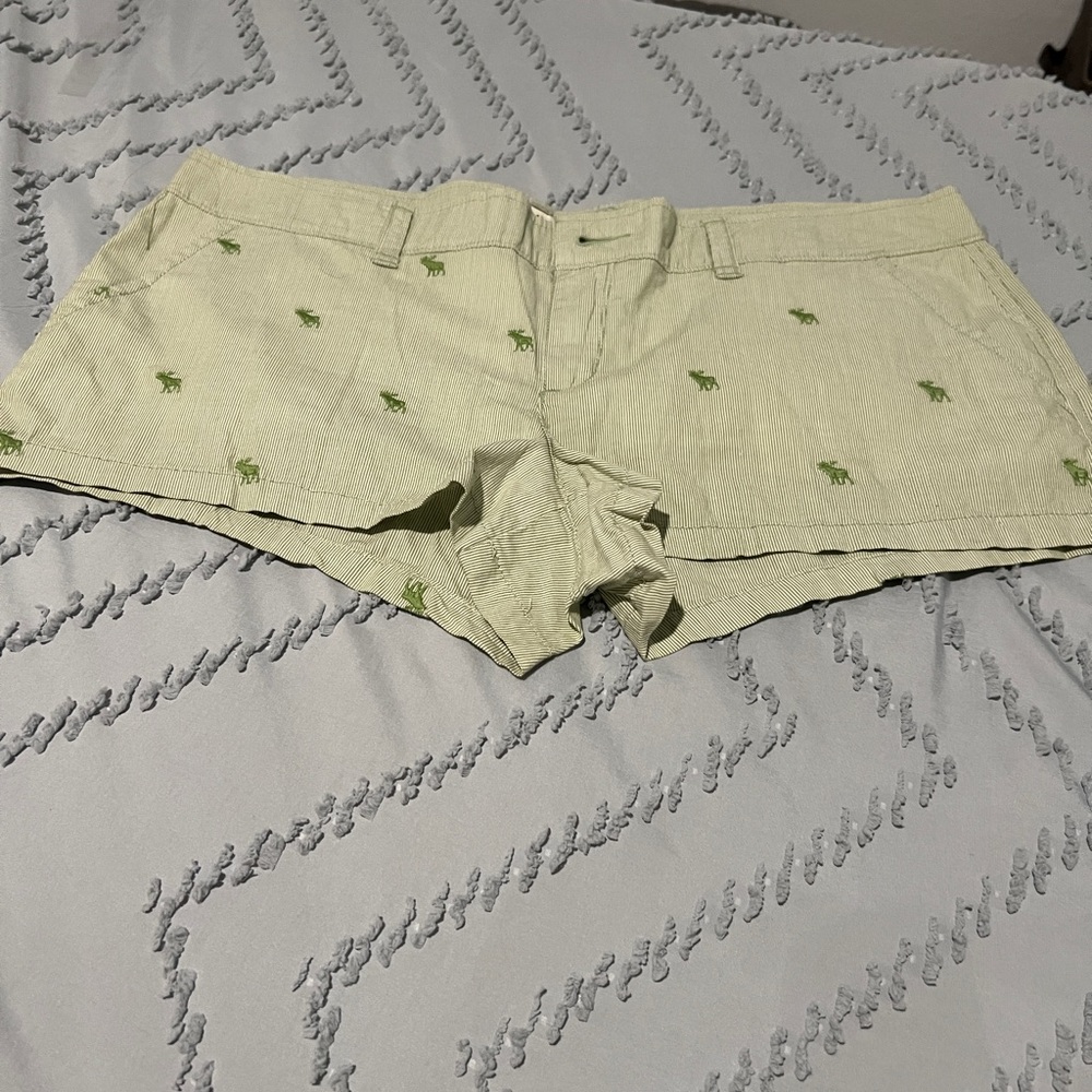 Abercrombie & Fitch Light Green Women's Cargo Shorts